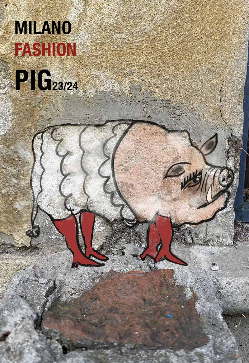 Fashion Pig