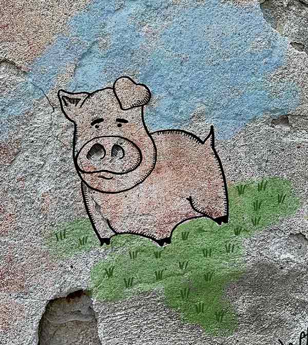 Pig - Busca