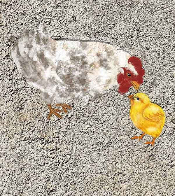 Gallina - Castelbuono