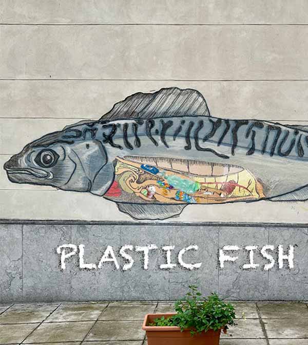 Plastic Fish - Palermo