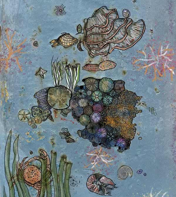 Varietà di mare
